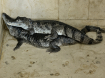 crocodylus 
